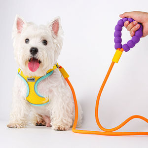 Productos de moda para mascotas Correa ajustable para mascotas Algodón de burbujas suave con choque de colores vibrantes Correa de perro de nylon de lujo para mascotas de todos los tamaños - Product Image 2