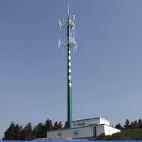 Torre di Protezione contro i Fulmini Professionale in Rete Zincata a Caldo, Palo Antifulmine Autoportante per Stazioni di Telecomunicazioni