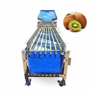 Máquina Clasificadora de Patatas por Tamaño, Clasificadora de Cebollas por Tamaño, Clasificadora de Ajo, Máquina Clasificadora de Mandarinas - Product Image 1