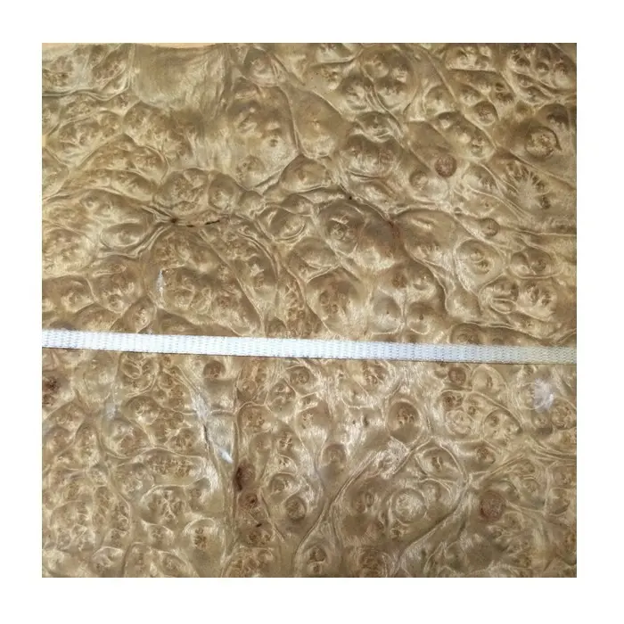 Exotic Wood Golden Camphor Burl Veneer for Interior Design