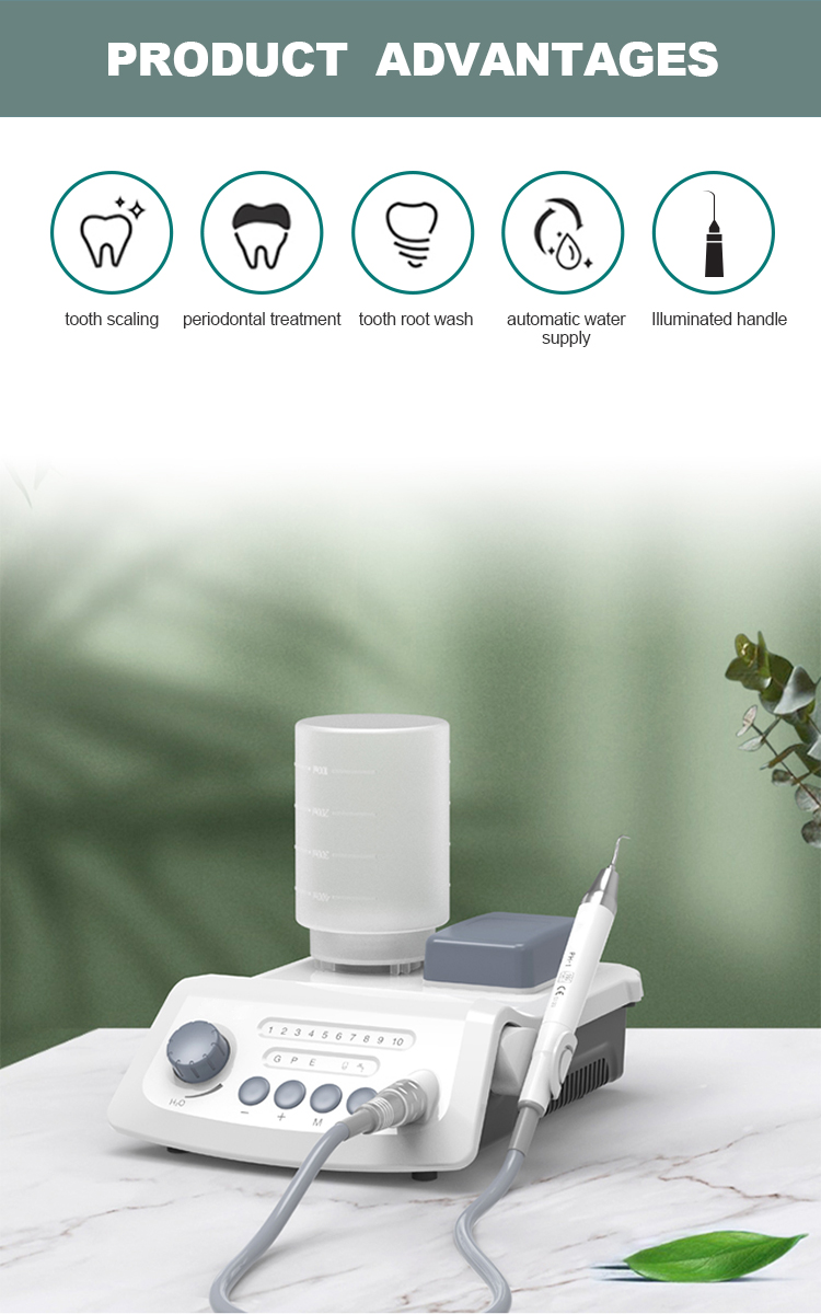 Autoscaler Ultrasonic Dental Scaler Supplier_For Sale_Price Glorious