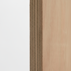 100% contreplaqué commercial de placage de bouleau écologique avec traitement de surface UV pour l'utilisation d'atelier d'entrepôt de chambre à coucher - Product Image 1