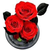 Rote natürliche Rose mit LED-Licht gefallene Blüten blätter in Glaskuppel Schönheit und das Biest