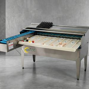 Machine industrielle de traitement des œufs de volaille 4500 œufs par heure Équipement de tri automatique en acier inoxydable - Product Image 1