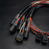 Arnés de Cableado Personalizado, Conector Macho-Hembra Multipin, Ensamblaje de Cables con Malla Protectora Corrugada, Cable Trenzado Multicolor