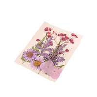 Fleurs séchées naturelles miniatures mélangées pour DIY, décoration de cadres de téléphone, nail art, Noël, remise de diplôme – Matériel DIY