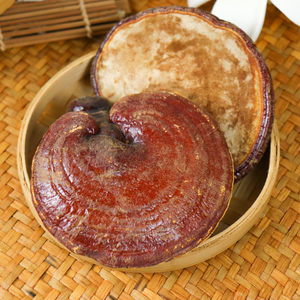 Linh Chi Linh Chi Toàn Bộ Khô Linh Chi Linh Chi Đỏ Linh Chi <span class=keywords><strong>Lucidum</strong></span> - Product Image 6