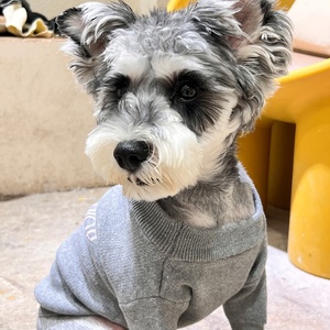 Catálogo De Luxo Designer Clássico De Malha Camisola De Inverno Algodão Pet Vestuário Moda Animais De Estimação De Luxo Pet Toys Ajuda A Manter Cães Quente - Product Image 3