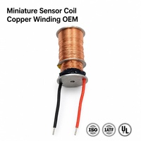 Bobina Inductora de Corrientes Parásitas en Miniatura de Alta Precisión Personalizada, Bobina de Sensor Magnético de Alambre de Cobre Ultrafino de 0.02mm para Motores Eléctricos