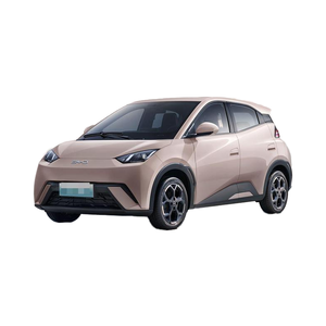 <span class=keywords><strong>Il</strong></span> <span class=keywords><strong>gabbiano</strong></span> BYD è <span class=keywords><strong>il</strong></span> veicolo elettrico più conveniente e popolare sul mercato. - Product Image 6