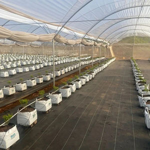 Heavy-Duty Multi-Span Film <b>Greenhouse</b> - Reinforced Steel Frame & UV-Resistant <b>Cover</b> <b>for</b> Large-Scale Vegetable Cultivation - Product Image 5