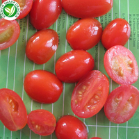 Tomates cerises surgelées IQF 18-30mm, moitiés et dés, pour les acheteurs en gros souhaitant une taille définie - Sourcing par bandes de taille définies