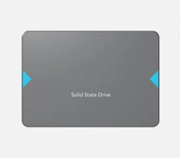SSD Internal Baru Original New NS100 128G 256G 512G 1T SATA3.0 untuk Desktop dan Laptop 2.5"