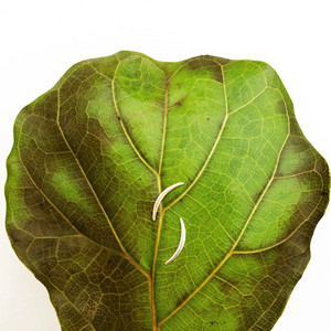 Lauren Crescent Climber - Product Image 5