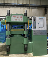 Presse hydraulique stable de 250 tonnes pour la fabrication de vaisselle en mélamine bicolore, idéale pour le marché africain
