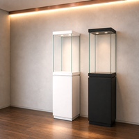 Vitrine autoportante en verre noir et blanc avec éclairage pour bijoux, colliers de diamants, parfums et exposition en magasin de détail