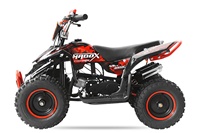 Quad mini ATV Tao Motor pas cher pour enfants, 50cc, transmission par chaîne, automatique, 2 temps, 2 roues motrices