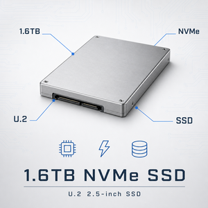 1.6TB NVMe U.2 <span class=keywords><strong>SSD</strong></span> ฮาร์ดดิสก์โซลิดสเตทระดับองค์กรสำหรับเซิร์ฟเวอร์แบบติดตั้งในตู้แร็ค รองรับการถอดเปลี่ยนขณะใช้งาน สำหรับจัดเก็บข้อมูลในศูนย์ข้อมูล - Product Image 1