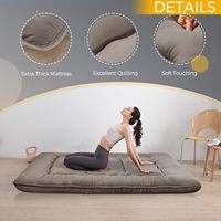 Tatami européen Futon Lit et Matelas Traditionnel Japonais Japon Sol Futon Canapé Matelas Tatami Pliable avec Housse en Polyester
