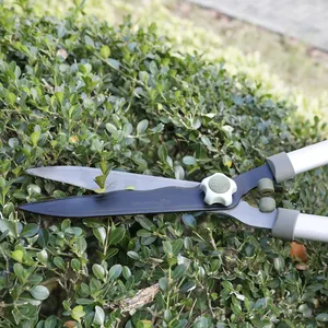 Potatori da taglio per rami a lunga portata attrezzi manuali da giardino troncarami telescopici per alberi di Bypass cesoie per siepi