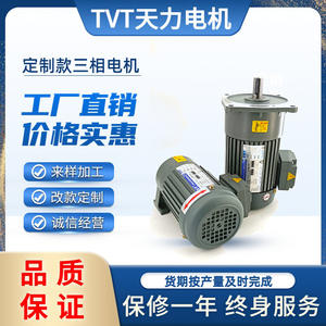 Motor de Engranajes TVT, Trifásico de 380V/220V, Personalizado, con Regulación de Velocidad, para Dispensadores de Alimento para Ganado, Especialmente para Comederos de Animales - Product Image 3