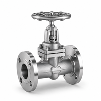 Válvula de Globo J41W CF8 PN100 con Brida para Petróleo y Gas, Válvula de Globo Industrial con Brida, Válvula de Control de Flujo para Tuberías de Petróleo y Gas