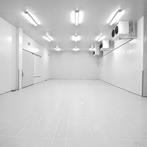 Chambre froide pour <span class=keywords><strong>fruits</strong></span> et <span class=keywords><strong>légumes</strong></span>, grande capacité, bonne qualité, mobile, congélateur réfrigéré de 20 pieds à vendre - Product Image 5