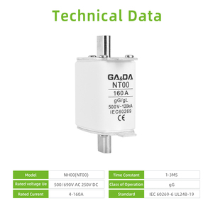 Fusibile GADA HRC NT00 NH00 ad Alta Capacità di Interruzione 120kA 500VAC con Certificazione CE - Product Image 4