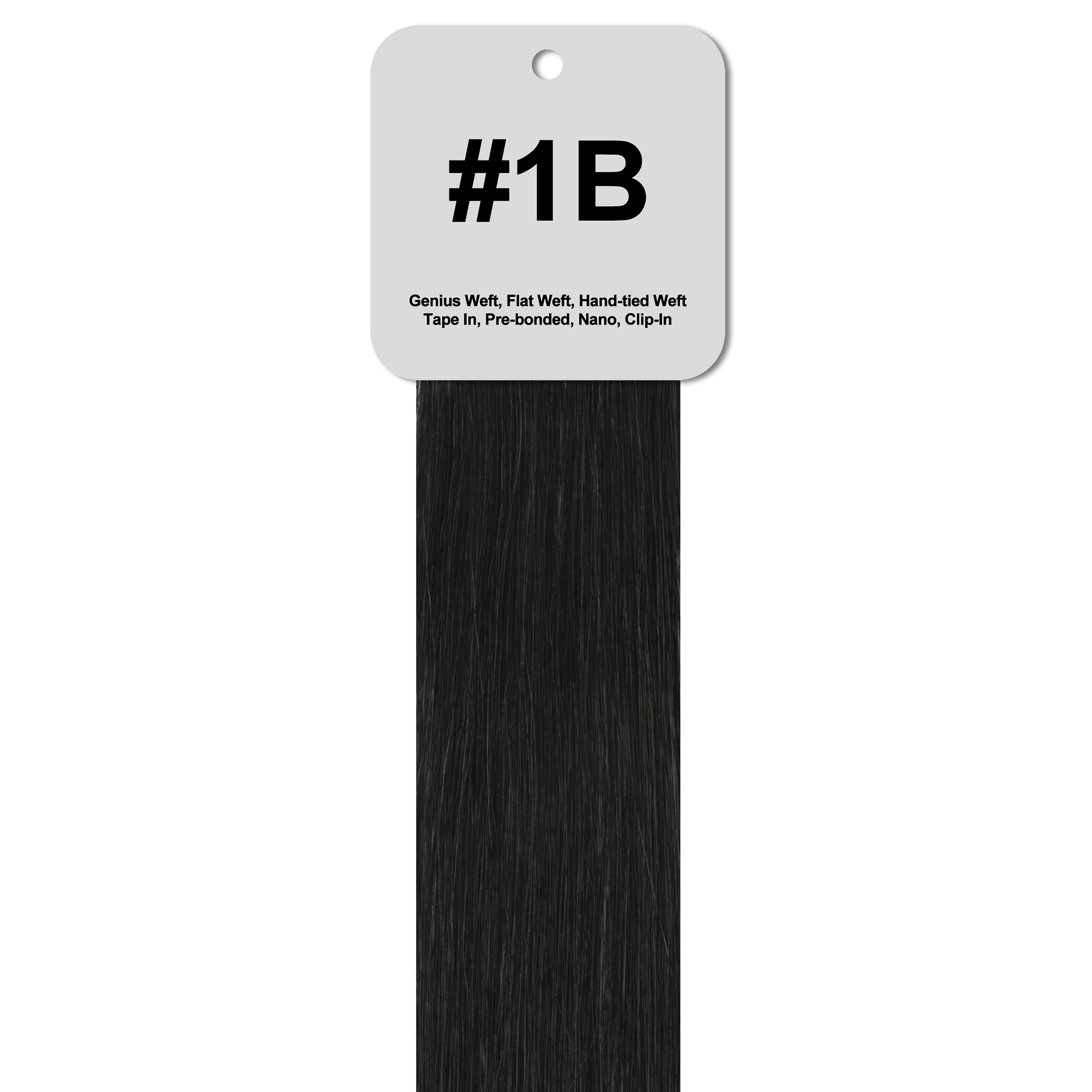 # 1B