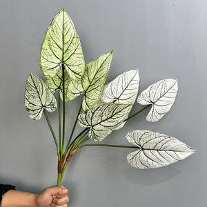 68CM Simulation 5 PCS Feuille d'<span class=keywords><strong>Arum</strong></span> pour Décoration de Jardin Impression 3D Verdure Artificielle de Haute Qualité Plante d'<span class=keywords><strong>Arum</strong></span> - Product Image 3