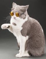 Chiens Chats Accessoires pour animaux Lunettes de soleil Harnais Accessoire Produits pour chiots Décorations Lentilles Gadgets Marchandises pour animaux