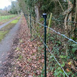 Postes de Acero Pintados de 6, 7 y 8 Pies para Cercas Agrícolas y de Granja - Product Image 6