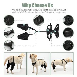 Abrazadera de LCA ajustable para perros, pierna trasera, alivia lesiones de ligamentos y dolor en las articulaciones, abrazadera de displasia de cadera para perros, rodillera para perros - Product Image 4