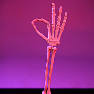 Juego de 4 estacas de mano de esqueleto para Halloween, decoración para jardín/exterior, brazos de esqueleto con gestos de <span class=keywords><strong>roca</strong></span>, accesorios espeluznantes para fiestas de Halloween - Product Image 5