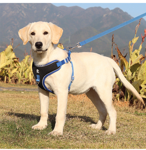Hot Sale New Polyester Pet Safety Leash <strong>Harness</strong> Vest Dog Chest Straps Reflective Dog <strong>Harness</strong> - Product Image 5