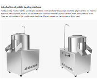 TP--350 Wortelgroente Fruit Cassave Wasmachine Schilmachine Aardappel Reinigings- en Schilmachine Zoete Aardappelen Schilmachine Industrieel