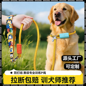 P-chain/P-rope <b>leash</b> for small <b>dogs</b>, explosion-proof <b>dog</b> <b>leash</b>, suitable for large, medium, and small <b>dogs</b>, pet supplies. - Product Image 5