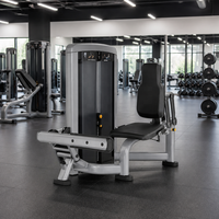 Nouvelle conception, équipement de fitness direct usine, machine d'extension des mollets pour salle de sport commerciale et usage domestique, à charge par disques, avec garantie