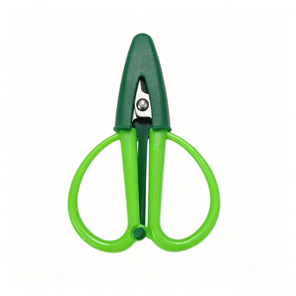 light green with dark green cover