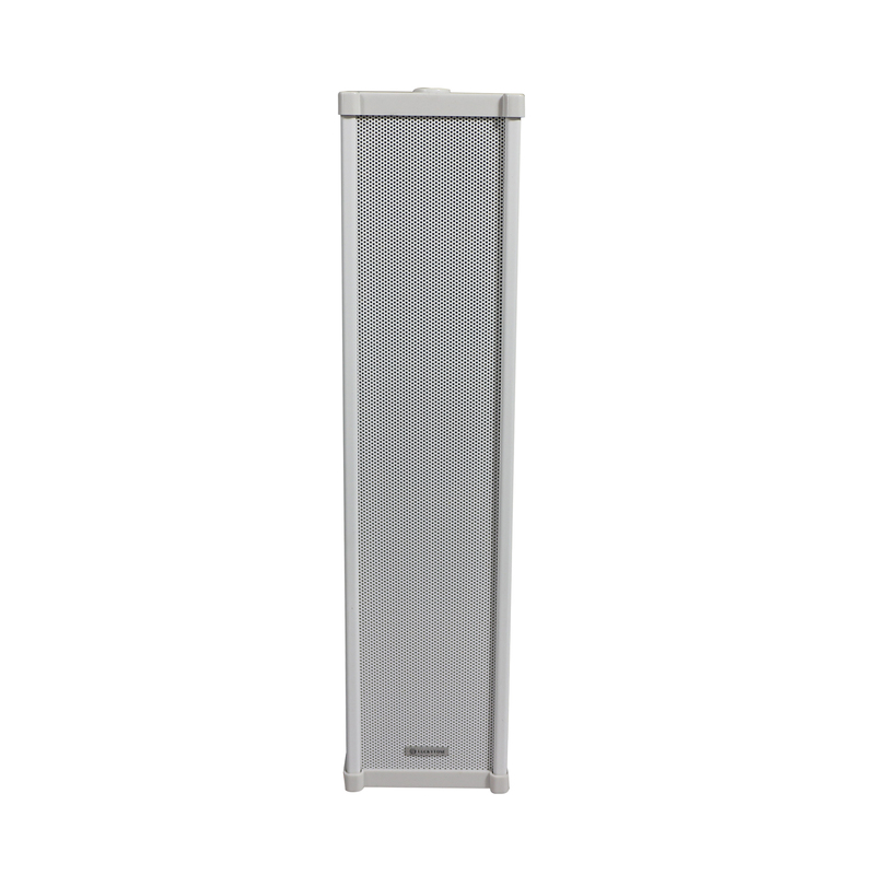 T 30W Professional Full Range Slim