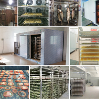 Fabrieksleverancier van fruit- en groentedroogmachines, warmtepomp bladdroogmachine