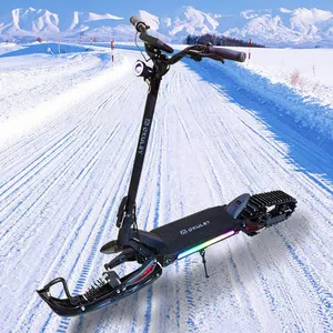 工厂最新设计雪橇轨道雪地电动滑板车52V 2000W可折叠全地形电动滑板车