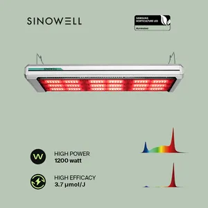 SINOWELL 1200W 800W 730W LED Grow Light 1: 1 HPS 1000W DE Replacement CT 1930e LED for Indoor Greenhouse Cultivation