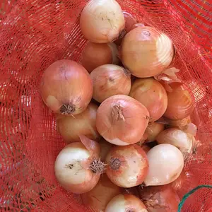 Red Onion For Sale Round Onion Wholesale Price