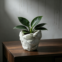 Pot de fleurs en céramique vert foncé en forme de poisson incurvé, vente en gros, pot de fleurs en forme de poisson de dessin animé, décoration intérieure, cadeau pour plantes vertes en pot