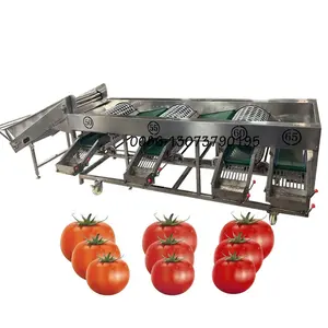 토마토 과일 학년 분류기 기계 체리 토마토 크기 선택 분류 기계 라운드 과일 크기 교정 기계