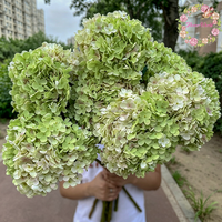Bunga Hydrangea Buatan Besar Warna Putih Hijau Diameter 30cm Grosir untuk Dekorasi Pernikahan
