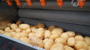 Machine automatique de fabrication de frites, 60 Kg/H, ligne de traitement de frites croustillantes, Machine à Chips à petite échelle - Product Image 3