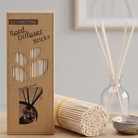 Bâtonnets de rechange pour diffuseur d'arômes, 10 pouces, en rotin naturel, pour huiles essentielles