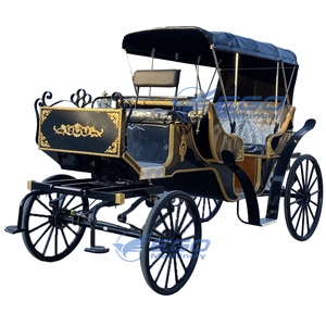 Carrosses de Mariage Électriques Spéciaux pour Visites Touristiques, Prix Usine, Transport de Luxe, à Vendre - Product Image 4